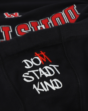 Premium Hoody Domstadt L