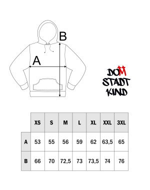 Premium Hoody Domstadtkind 3XL