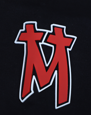 Premium Hoody Domstadtkind 3XL