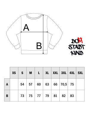 Domstadtkind Sweater basic 3D Logo black 4XL