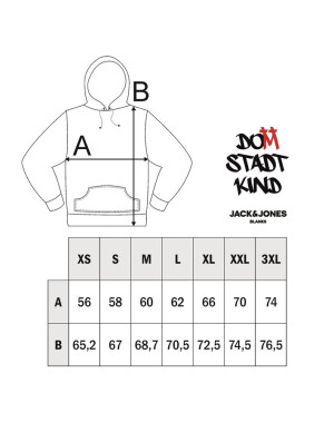 Domstadtkind x Jack Jones Blanks Hoodie mit Rückendruck