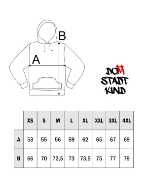 Domstadtkind Premium Zipper Hoodie grau