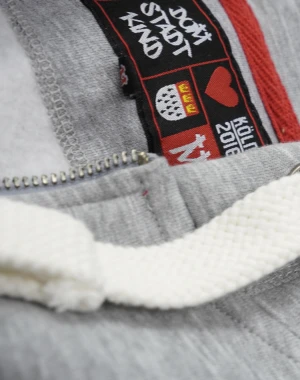 Domstadtkind Premium Zipper Hoodie grau
